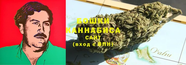 mdpv Белокуриха
