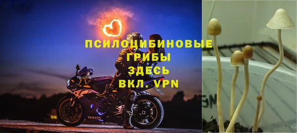 мдма Богородск