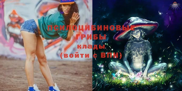 mdpv Белокуриха