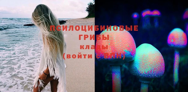 mdpv Белокуриха